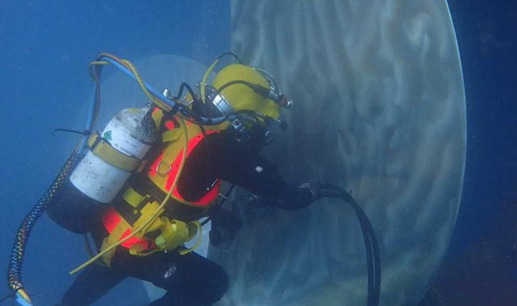 Commercial Diving Sub-Sea Operations